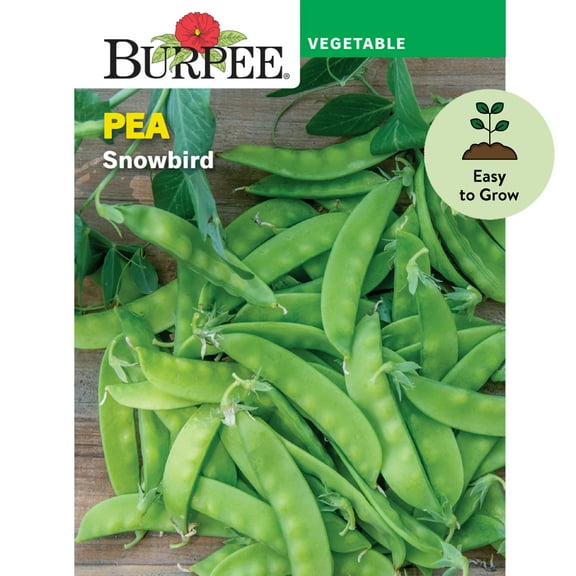 Burpee Snowbird Pea Seeds - Non-GMO, Snowpea, Easy to Grow, Vegetable Gardening Seeds, 18g, 1-Pack