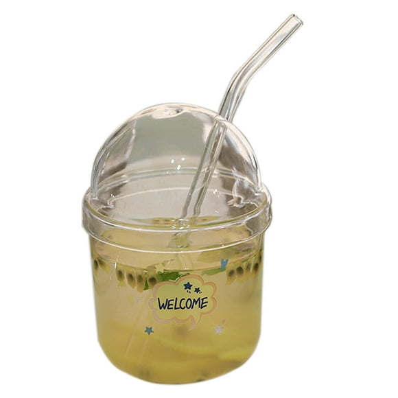 Glass Tumbler with Straw and Lid 430ML Heat Resistant Juice Drinking Cup Clear Coffee Smoothie Cup for Home Outdoor Travel