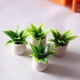 thumbnail image 2 of Plantas pequeñas en miniatura CUTICAT decorativas para micropaisaje 4 piezas, 2 of 6