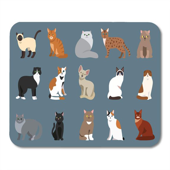 SIDONKU Cat Breed Cute Pet Portrait Fluffy Young Adorable Cartoon and Pretty Fun Play Feline Sitting Mousepad Mouse Pad Mouse Mat 9x10 inch
