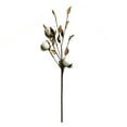 thumbnail image 2 of HEALEEP Dried Flowers Cotton 1Pack Multi Rustic Farmhouse Style Cotton Branches Friends Event, 2 of 4
