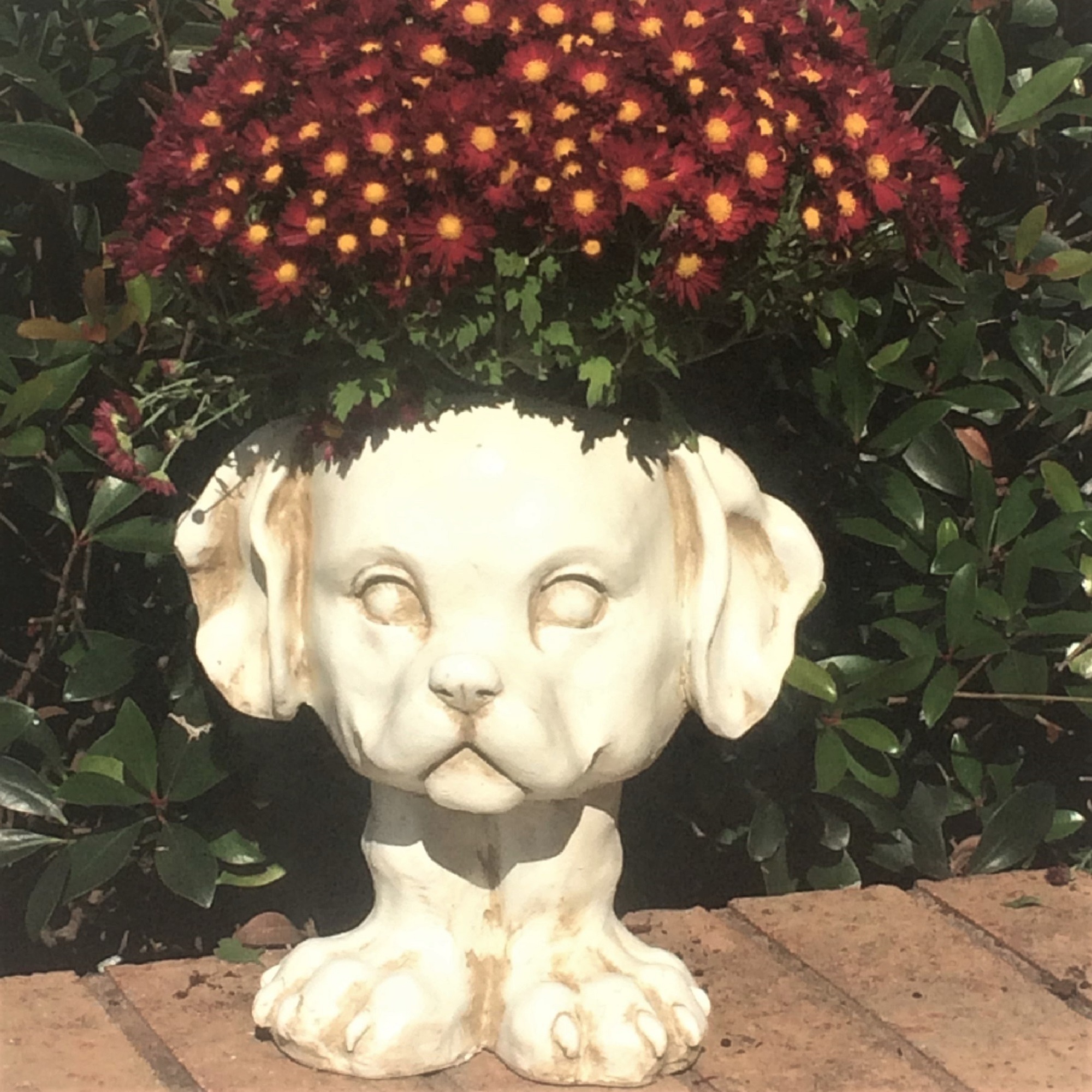 Homestyles 12 in. Antique White Muttley the Dog Muggly Animal Statue Humorous Planter Holds 5 in. Pot