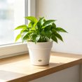 thumbnail image 4 of Root Pruning Breathable Flowerpot, Thickened Round Planter With Air Slots, Prevents Waterlogging And Rot For Houseplant Indoor Decor, 4 of 6