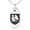 Silver, variant on Stainless Steel Dragon Guardian Coat of Arms Shield Engraved Small Oval Charm Pendant Necklace