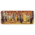 thumbnail image 1 of Woodland Kitchen Mat, Jungle in Fall with Yellow Birches and Dry Herb Autumn Leaves Warm Weather Photo, Plush Decorative Kitchen Mat with Non Slip Backing, 47" X 19", Orange Brown, by Ambesonne, 1 of 1