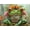 Petal Prince, variant on 1000 Piece Jigsaw Puzzle for Adults - Mythical Dragon Springs Out of The Pages of a Book - Challenging Puzzle - Fantasy Dragon with Castle - 1000 Piece Puzzle for Adults. 20x27 inches