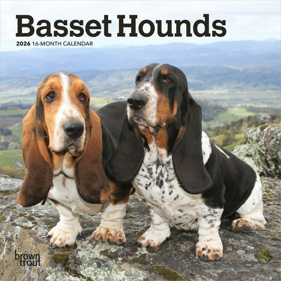 Basset Hounds | 2026 7x14" (Hanging) Monthly Mini Wall Calendar | BrownTrout