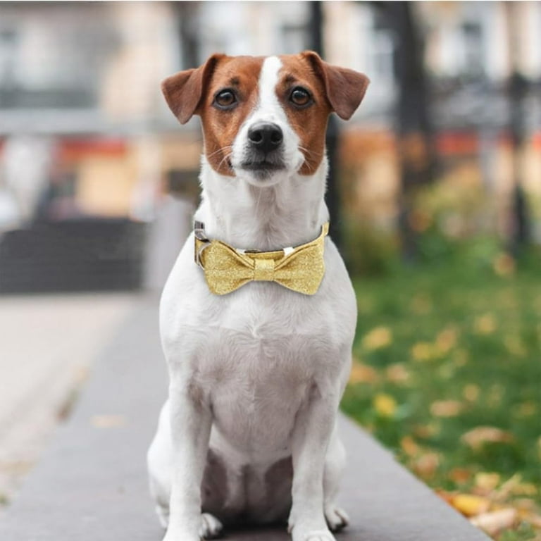 Christmas Dog Collar with Bow Bling Bowtie Gift Cute Funny Dog