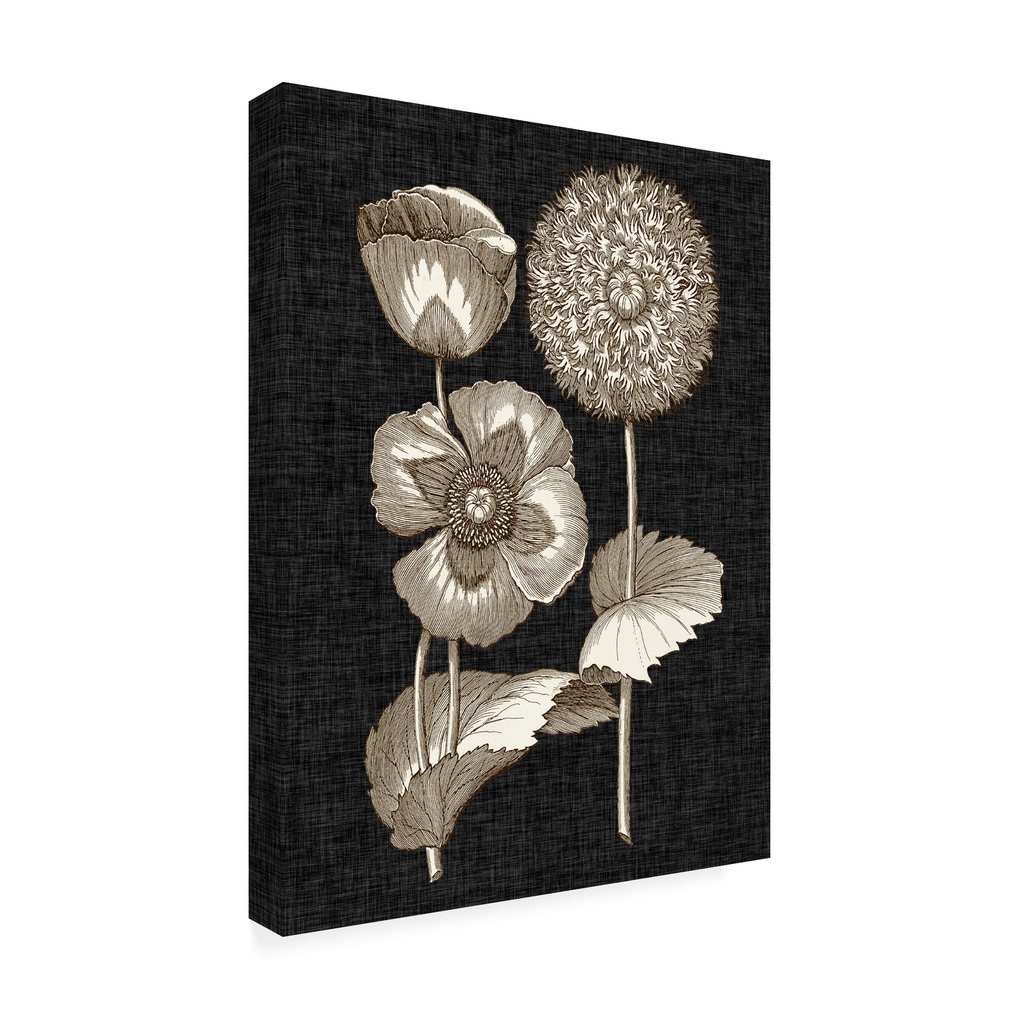 Trademark Fine Art 'Dramatic Chintz III' Canvas Art by Vision Studio