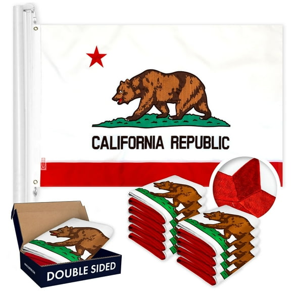 G128 California State Flag 4x6 Ft 10-Pack Double Sided Embroidered 210D Indoor/Outdoor, Brass Grommets, Heavy Duty Polyester, 3-ply