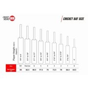 SS TON Slasher Cricket Bat 2025