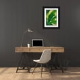 thumbnail image 3 of Pinto, Patricia 23x32 Black Ornate Wood Framed with Double Matting Museum Art Print Titled - Uraba Palm I, 3 of 4