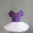 thumbnail image 3 of Justaucorps de Ballet pour Filles, Robe Tutu pour Filles avec Jupe Attachée, Tenue de Danse Sans Manches à Col Rond, Polyester Extensible Doux pour Pratique, Récitals, Usage Quotidien, 3 of 5