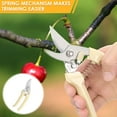 thumbnail image 4 of 2Pcs Sheep Hoof Trimmer Stainless Steel Sheep Hoof Cutter Grooved Sheep Hoof Clipper with Spring Large Opening Sheep Hoof Shears Efficient Sheep Hoof Trimmer Suitable for Goats, 4 of 8