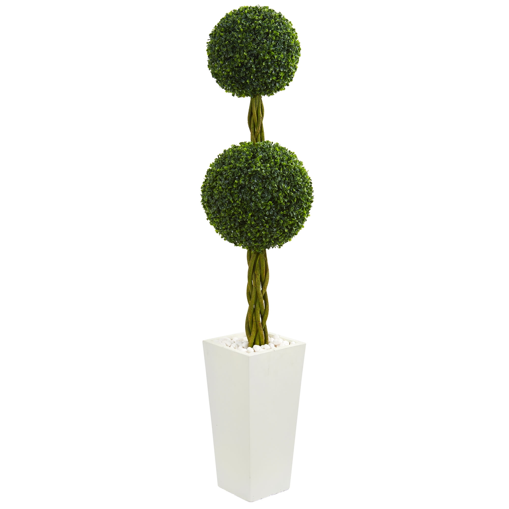 double ball topiary tree real