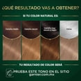 thumbnail image 4 of Tinte para cabello Nutrisse Oleos sin amoniaco 7.12 rubio cenizo nacarado, 4 of 6