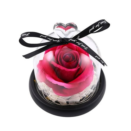 

XIDS Artificial Rose Flower Glass Dome LED Night Light Ornament Valentine Day Lamp
