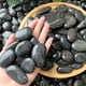 thumbnail image 4 of Piedras de río adoquinadas de 100/200/500 g para acuario, fondo de pecera, paisajismo, fondo de piedra decorativa, accesorio hidropónico natural, 4 of 5