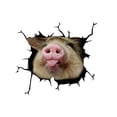 thumbnail image 2 of Car Sticker Plastic PVC Pet Funny Car Lockers 1PCS, 2 of 4