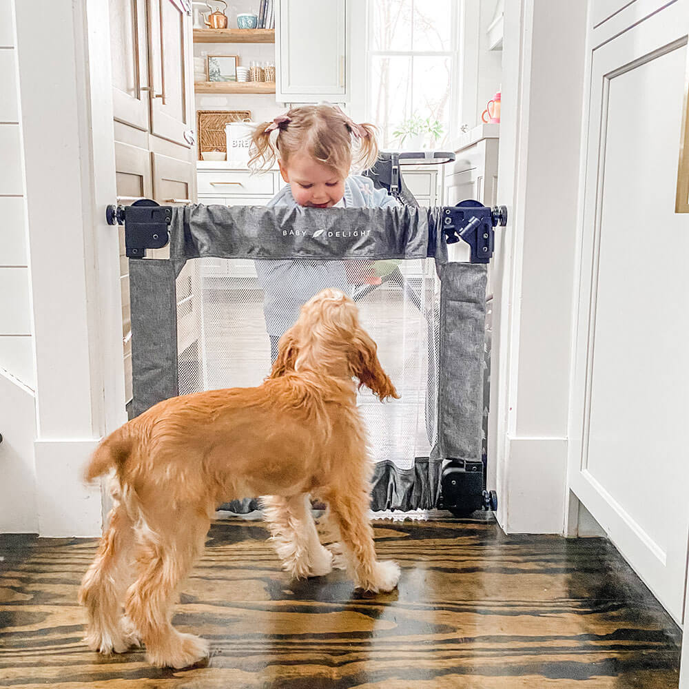 Baby Delight Span, Portable Expandable Folding Fabric Baby Gate, 30"-48", Charcoal Tweed
