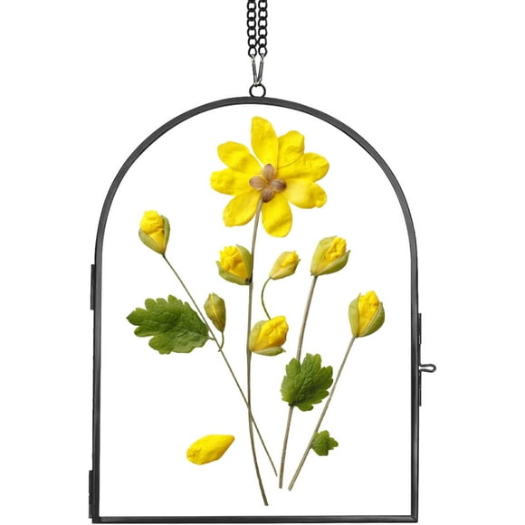 shiyou-Glass Pressed Flower Frame Handmade, Glass Frame For Pressed Flowers, Wall Hanging Floating Frame, Unique Double Glass Picture Frame for Dried Flowers Poster Home Decor, ArcShapedBlack