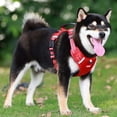 thumbnail image 6 of No Pull Dog Harness Reflective Adjustable Pet Vest Breathable Mesh Padding for Large Medium Small Dogs Walking Training Leash Set, 6 of 6