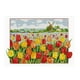 thumbnail image 5 of de de 11CT Tela para adultos principiantes, 5 of 8