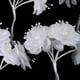 thumbnail image 5 of Manualidades con rosas de raso,cuentas de bricolaje rosa,Manualidades con rosas para bodas,Decoración de rosas de bricolaje,Manualidades con cuentas de raso y rosas, 5 of 9