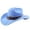 Sky Blue, variant on TIANZEN Western Cowboy Hat With Curved Brim For And Outdoor Travel Riding Country Style Gardening Hats for Men Cowboy