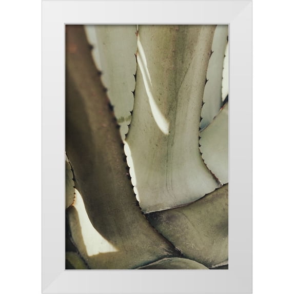 Artographie Studio 17x24 White Modern Wood Framed Museum Art Print Titled - Agave 002