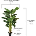 thumbnail image 5 of Serene Spaces Living Artificial Banana Tree in Pot, 16" Diameter & 65" Tall, 5 of 6
