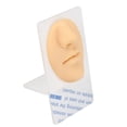 thumbnail image 1 of Soft Silicone Flexible Model Body Part Displays Set, Silicone Tongue Piercing Practice Model, 3D Tongue Piercing Practice Model, Flexible Silicone Tongue Model for Piercing Practic, 1 of 7