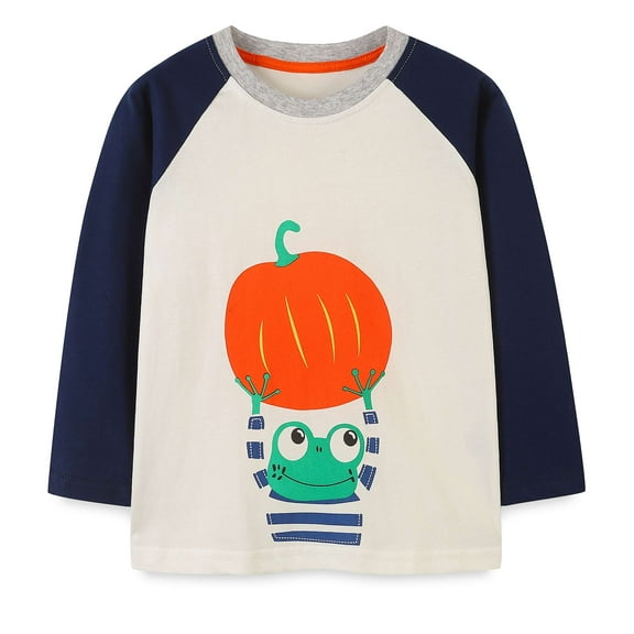 Aolyty Little Boys Winter Sweatshirts Frog Pumpkin Long Sleeve Tops 7T