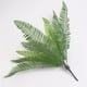 thumbnail image 5 of Manojo de hojas de Cycas artificiales,Hojas de hierba de arbusto de helechos artificiales,Hoja de palma Cycas verde artificial,Rama de palmera Cycas falsa,Planta de helecho falso verde, 5 of 9
