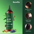 thumbnail image 3 of Botanic Hearth 100% Pure Tea Tree Oil For Hair Growth | Infused with Jojoba & Grapeseed Oils | Hair Oil Repairs Dry Damaged Hair, Strengthening, Healthier - Hair Tonic, 6.7 fl oz, 3 of 9