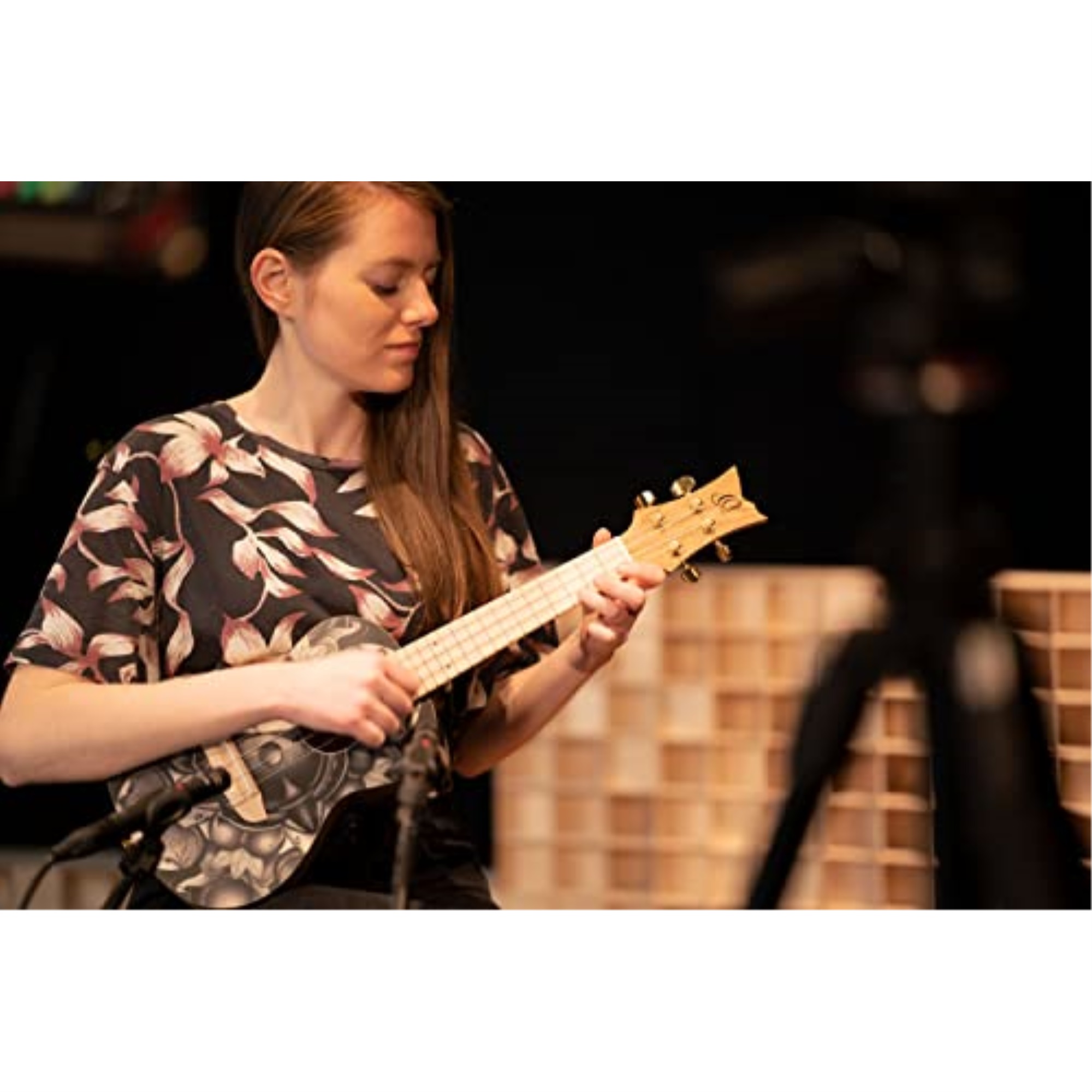 Art Series Concert Ukulele
