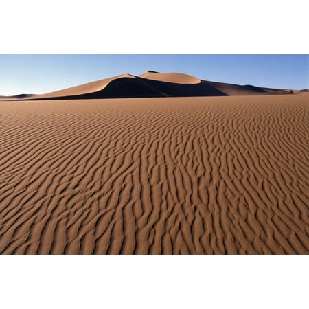 Sand Dunes Against Clear Sky In Namib-Naukluft National Park Canvas Art - Sasha Gusov  Design Pics (38 x