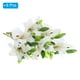 thumbnail image 3 of Uxcell Lirios Falsos, 6PCS Flores Artificiales de Lirio Flores Blancas Falsas en Jarrón para Decoración del Hogar, Blanco, Blanco 6, 3 of 5