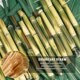 thumbnail image 3 of 100pcs Sugarcane Straws 8 Inch Compostable Straws Biodegradable Eco-Friendly Drinking Straws, 3 of 5