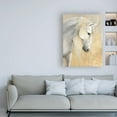 thumbnail image 3 of Trademark Fine Art 'Calm White Horses' Canvas Art by Albena Hristova, 3 of 3