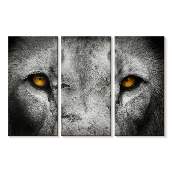 Elephant Stock Lion Eyes Pop Wall Art - Horizontal Multi Panel Canvas - Living Room Wall Decor - Animal Multi Panel - Gray And Orange Decor - 23" x 14"