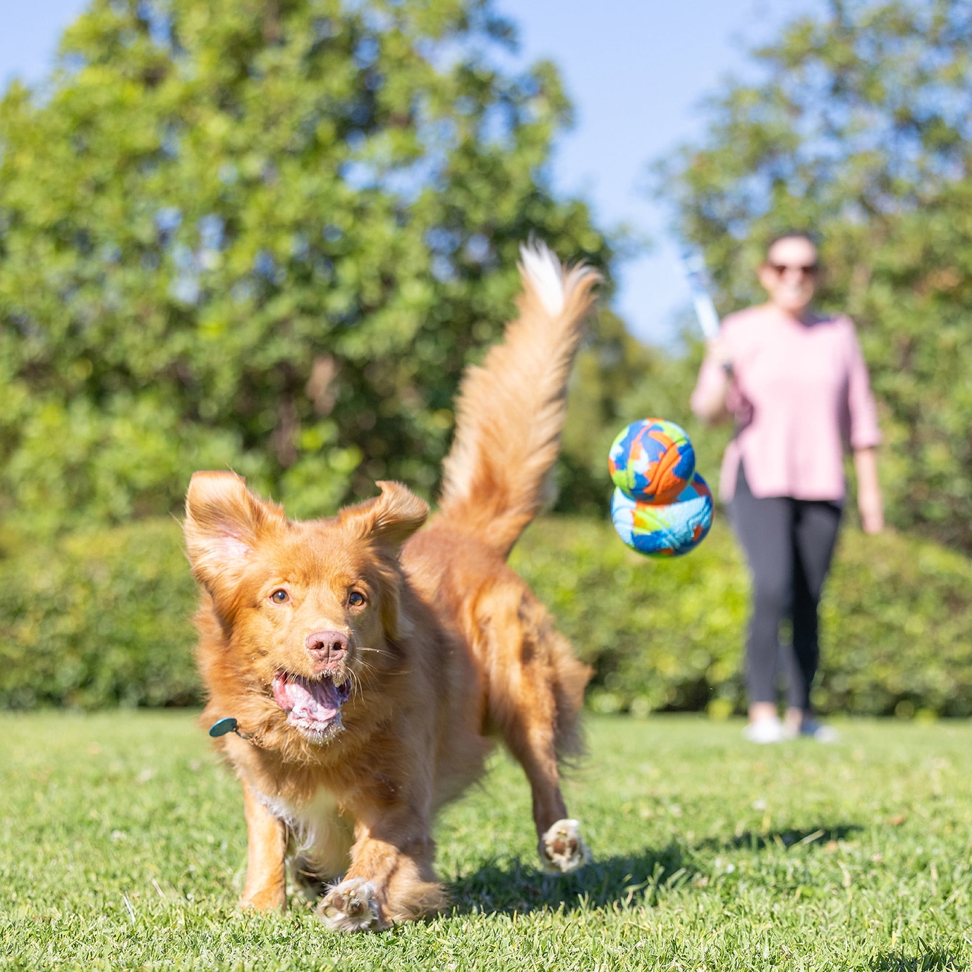 Chuckit! EcoFetch Tumbler Recycled Rubber Dog Ball Fetch Toy for Dogs, 6" for Small to Medium Pets, Pack of 1