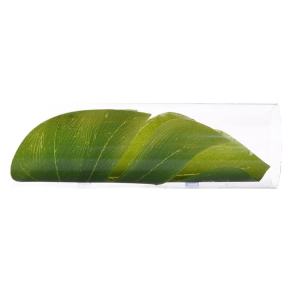 Gieenan Decorative Tunnel Green Leaf Betta Cave Hideaway Beautify Aquariums Appearance