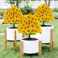 thumbnail image 1 of Artificial Butterfly Orchid, Staron 2026 Realistic Simulation Flower Ground Insertion, Plastic Decorative for Wedding Garden Outdoor Decor, Yellow, 1 of 6