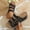 Black, variant on Women's Wedge Floral Slippers, Thick Sole Structure Spring Casual Use Solid Color Design Comfortable Footwear Navy 9