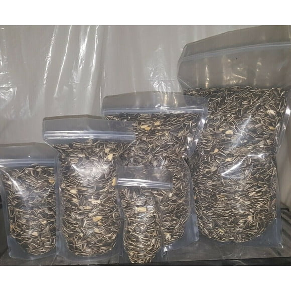 Medium Black SUNFLOWER Seeds UN-SALTED PARROT Bird Hamster Mouse