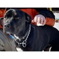 thumbnail image 2 of 5 Cadenas De Castigo Para Perro 2mm, 2 of 3