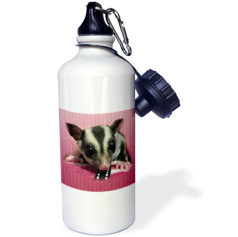sugar glider water