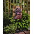 thumbnail image 2 of Carolines Treasures SC9224GF 15 x 15 In. Labrador Chocolate Fall Leaves Portrait Flag- Garden Size, 2 of 3