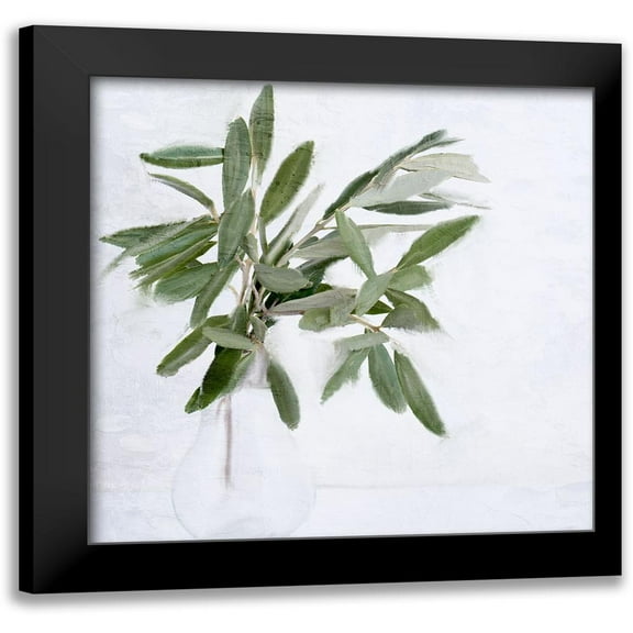 Allen, Kimberly 12x12 Black Modern Framed Museum Art Print Titled - Olive Branches